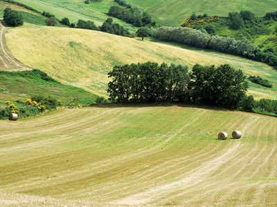 countryside-of-Molise