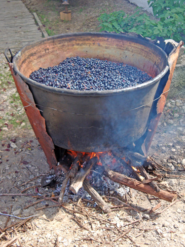 Must-Syrup-Abruzzese