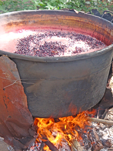 Must-Syrup-typical-product-Abruzzese