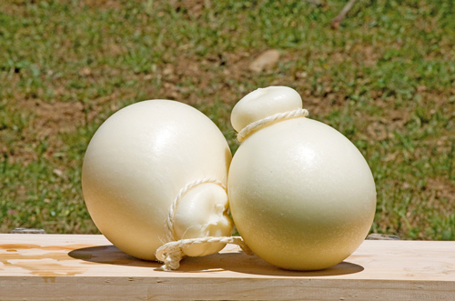 Caciocavallo-Cheese