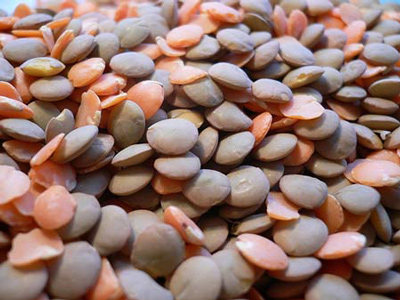 Santo Stefano di Sessanio Lentils