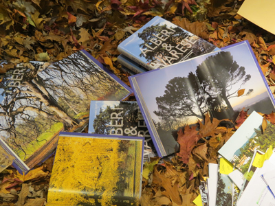 Trees-and-monumental-books