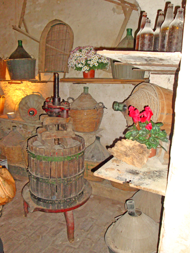 Wine-cellar-Abruzzo
