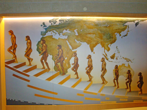 Museum-Paleolithic-Isernia-man