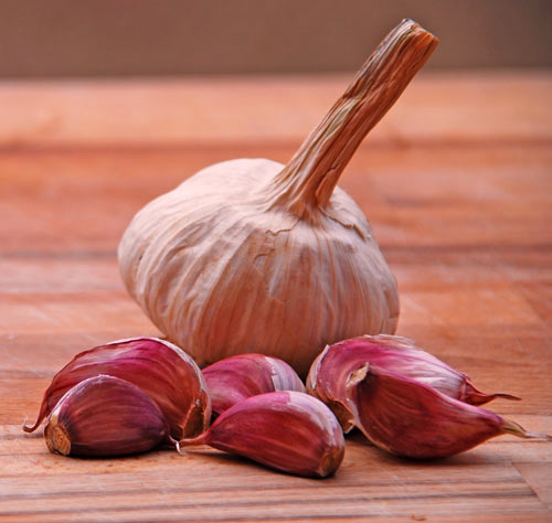 red-garlic