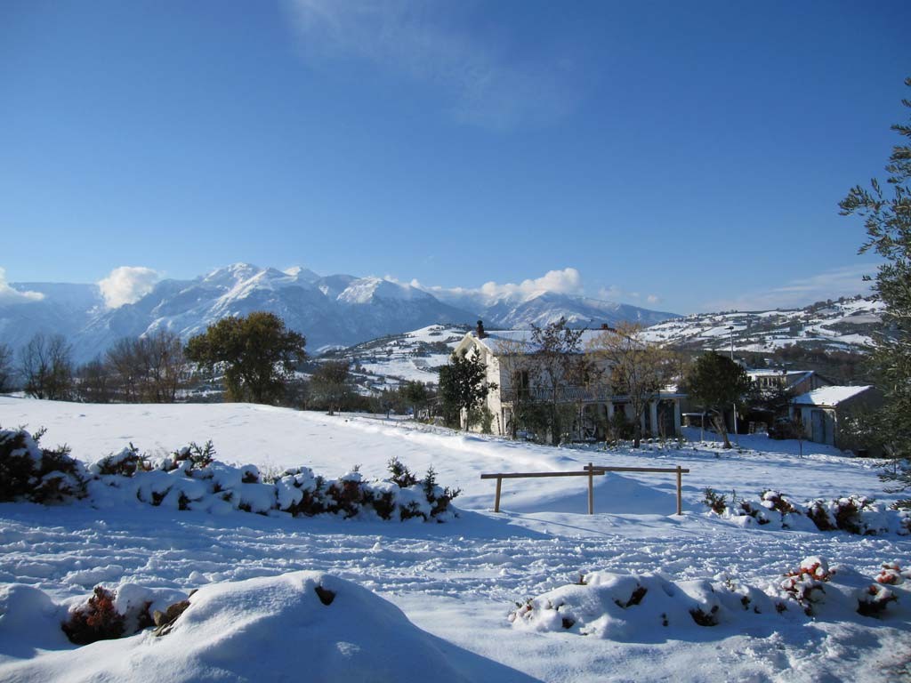 casoli- winter