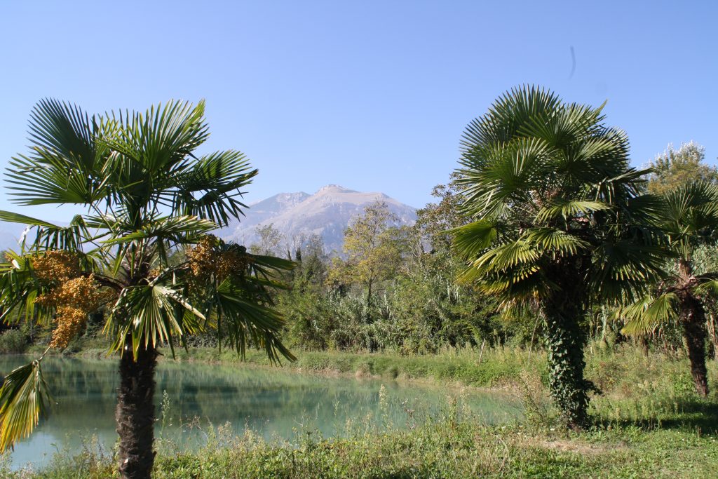 lake-casoli-ch (2)