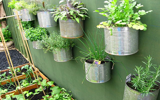 Decorate-with-the-cans-of-tin-as-planters-to-hang-the-wall