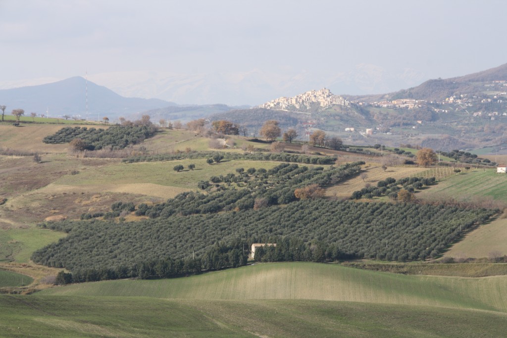 panoramic-of-mafalda