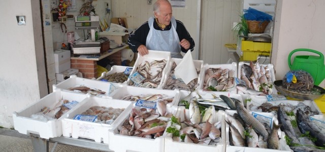 market-of-fish