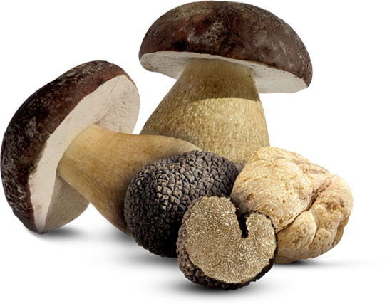 mushrooms and Truffle